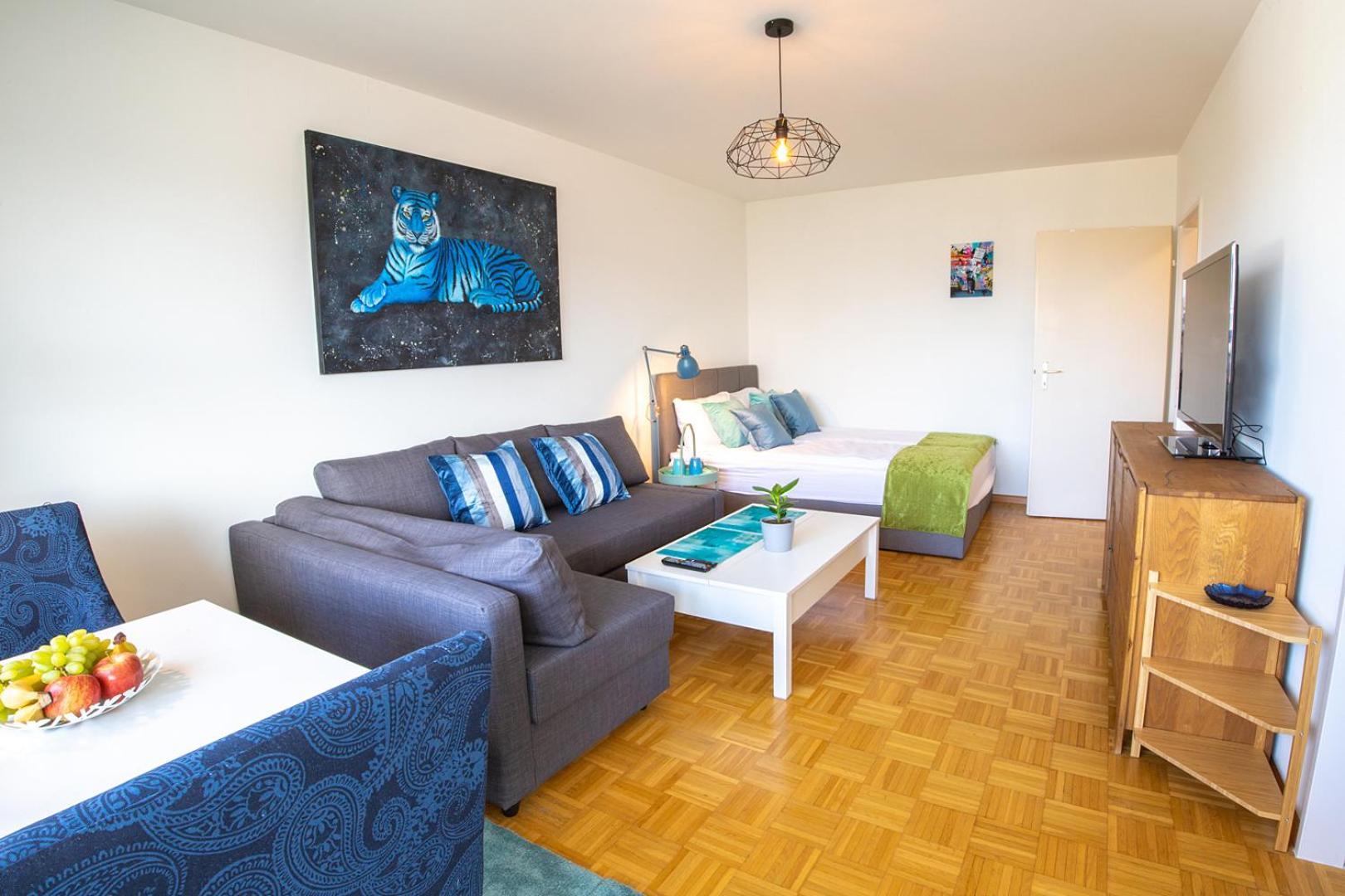 Special Blue Tiger Apartment Basel, Messe Kleinbasel 10-Star Экстерьер фото